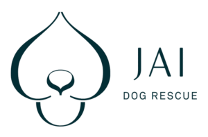 16 Jai Dog Rescue