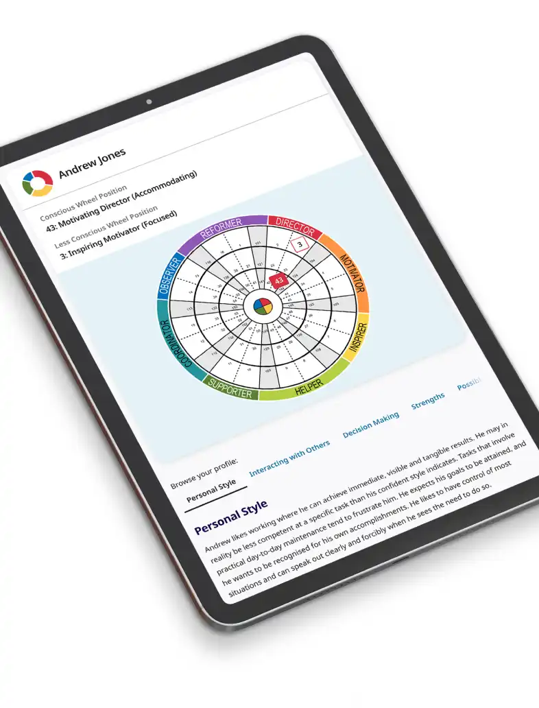 Example Insights Discovery personal profile